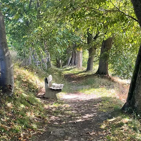 Rupe Se Saunou 公寓 *